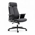 Mesh ergonomic office chair with adjustable headrest and armrests 65 x 65 x 120cm